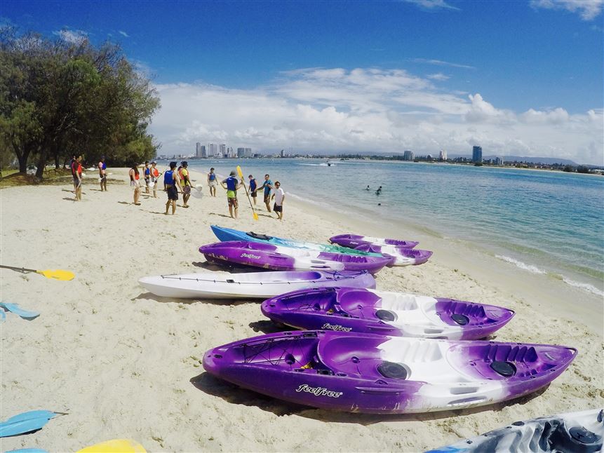 Broadwater Dolphin Kayak Tour, 2 Hours