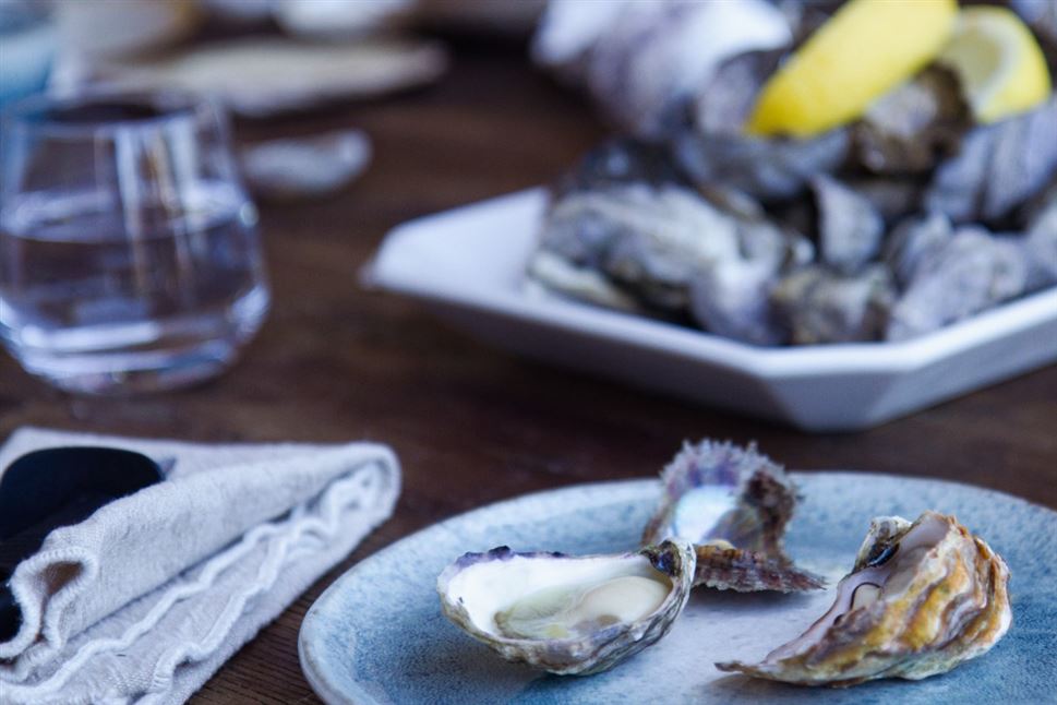Farm to Plate, Oyster Tasting
