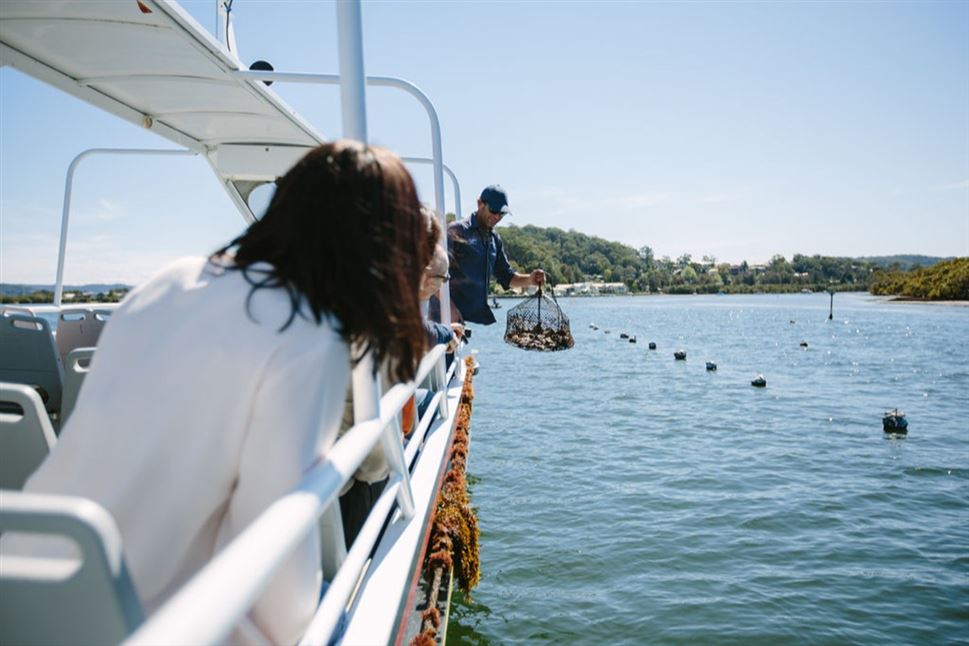Farm to Plate, Oyster Tasting