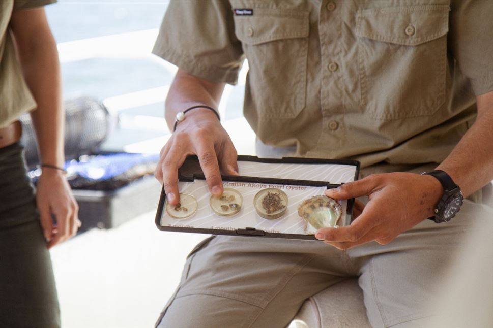 Oyster & Pearl Lovers