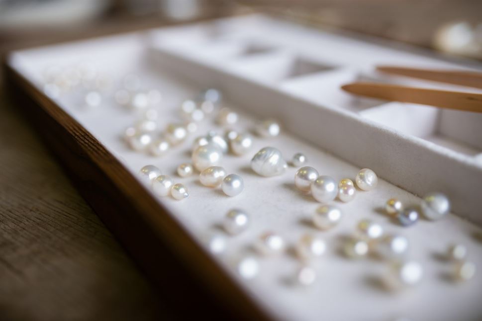 Shell to Showroom - Oyster and Pearl Farming