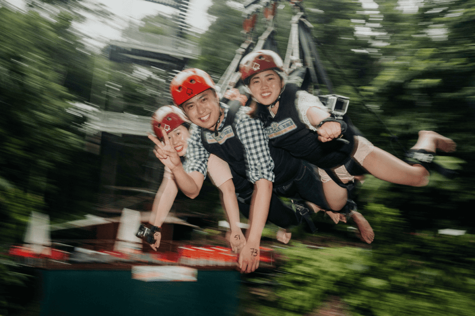 Giant Jungle Swing