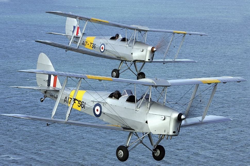 Tiger Moth Dogfight for Two