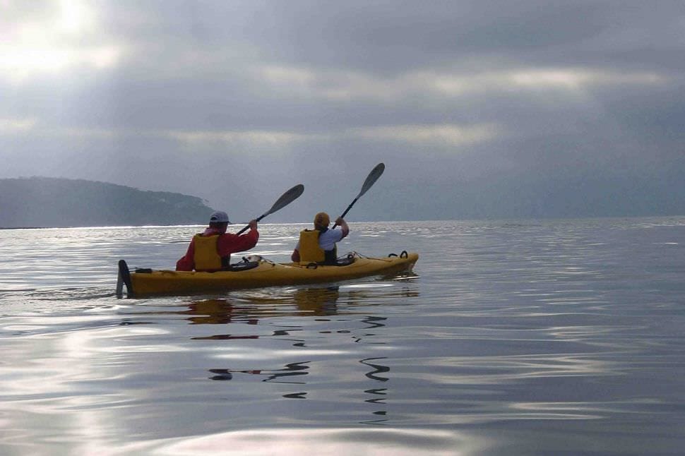 Sea Kayak Tour, Half Day