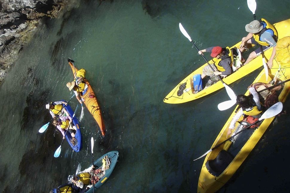 Glass-Bottom Kayak Tour