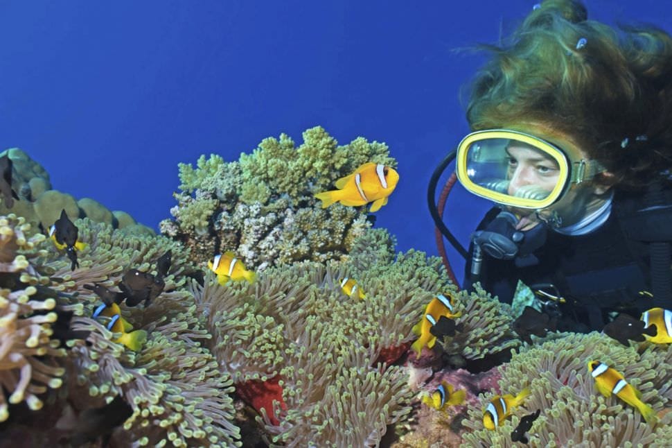 Introduction to Scuba Diving, Gold Coast
