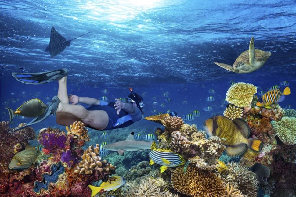 Snorkelling Wave Break Island