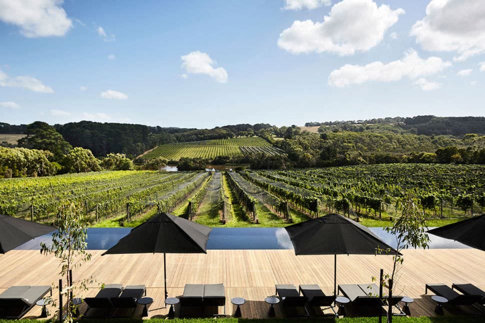 Peninsula Winery Bus Tour with Lunch
