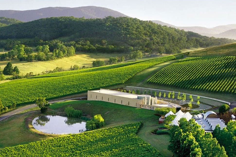 Private Winery Tour with Lunch for Up to 7