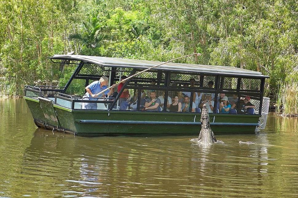 Crocodile Adventure with Transfers