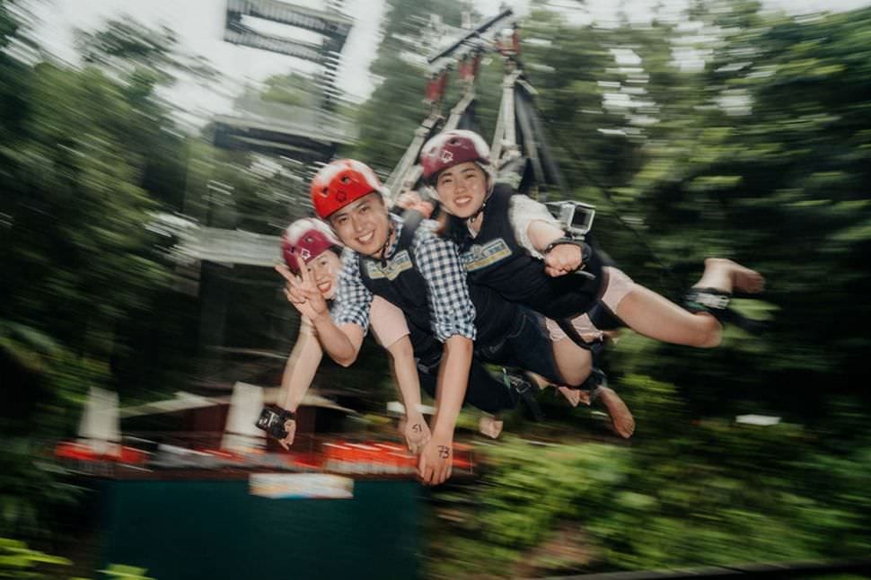 Giant Jungle Swing