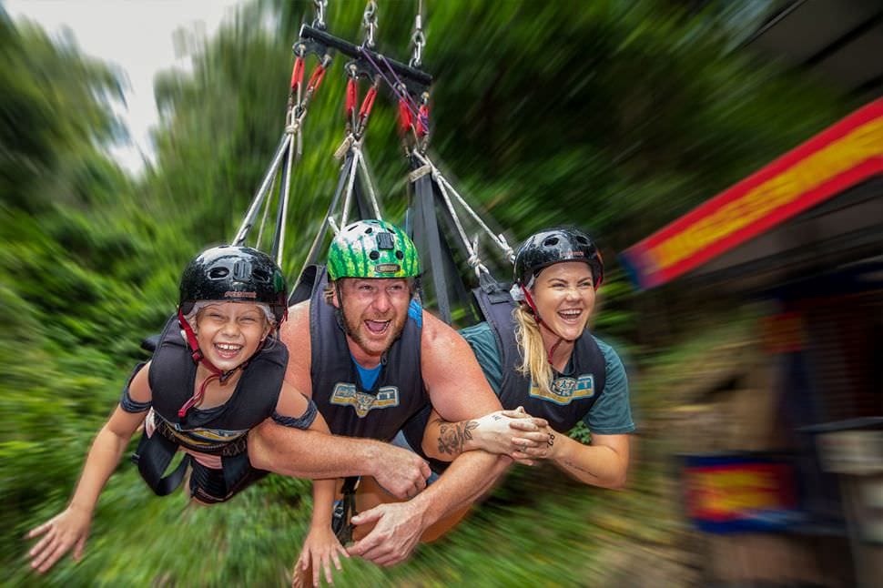 Giant Jungle Swing, Family