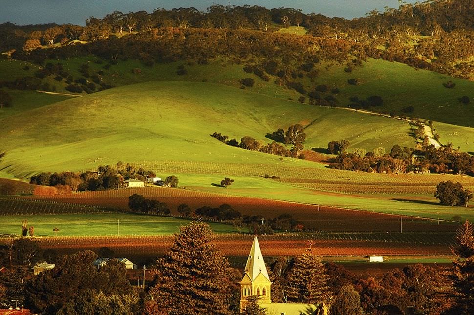 Barossa Valley Half Day Tour for Two