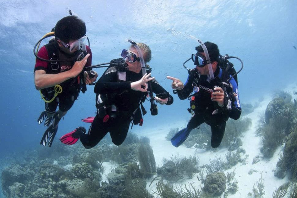 PADI Open Water Course, Gold Coast