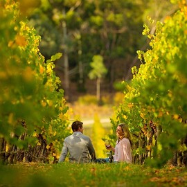 Full Day McLaren Vale Gourmet and Wine Tour