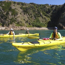 Phillip Island Kayak Tour
