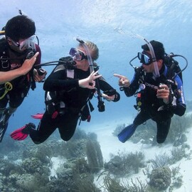 PADI Open Water Course, Gold Coast