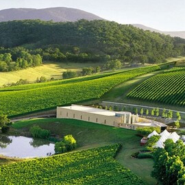 Private Winery Tour with Lunch for Up to 7