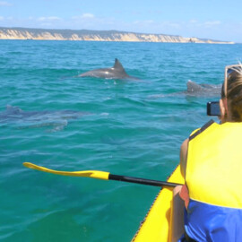 Dolphin View Sea Kayak and Beach 4x4 Adventure