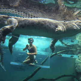 Crocodile Cage of Death for Two