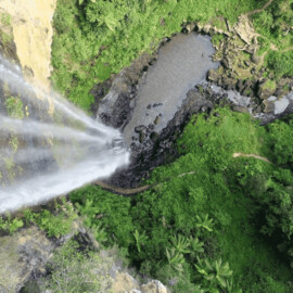 Natural Bridge and Springbrook Waterfalls Tour