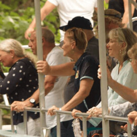 Daintree Crocodile Cruise and Discovery Tour