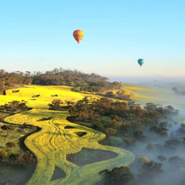 Weekday Balloon Flight with Breakfast, Avon Valley
