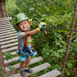 Junior Treetops Ropes Course
