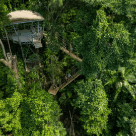 Zipline Canopy Tour (child)
