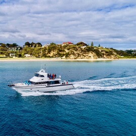 Wildlife Adventure Cruise from Sorrento