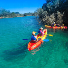 Kayaking, Brunswick River Nature Tour