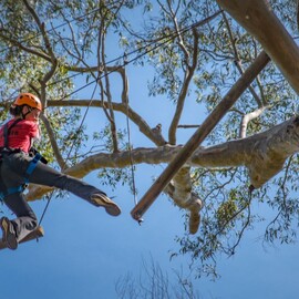 Treetops Ropes Course