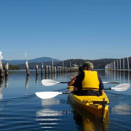 Canberra to Coast Kayak Tour with Oyster Tasting