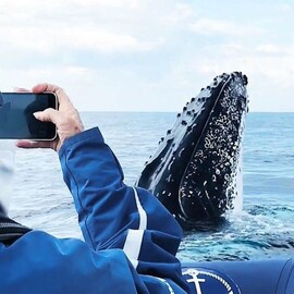 Byron Bay Whale Watching Tour