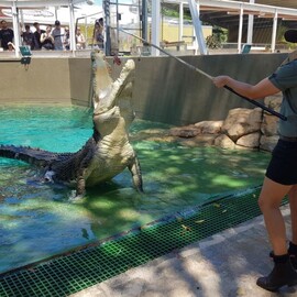 Crocosaurus Cove, Family Entry
