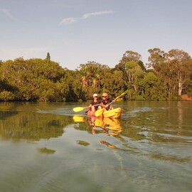Sunset Kayaking, Brunswick River Nature Tour
