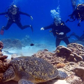 Open Water Scuba Diver Course