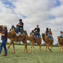 Camel Trail Ride