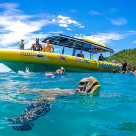 Whitsunday Islands High Speed Boat and Snorkel