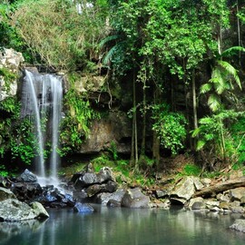 Tastes of Tamborine Mountain Tour