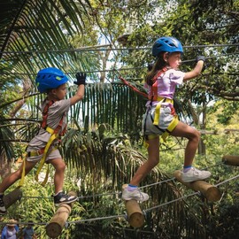 Junior Tree Ropes Course