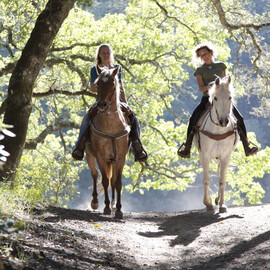 Helicopter and Horse Ride with Picnic