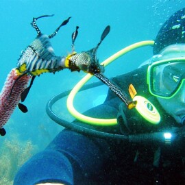 Discover SCUBA Dive