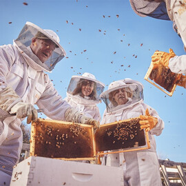 Honey and Hive