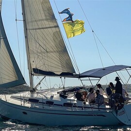 Sydney Harbour Sailing Experience