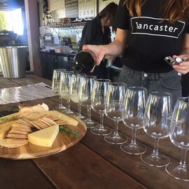 Swan Valley Wine Adventure