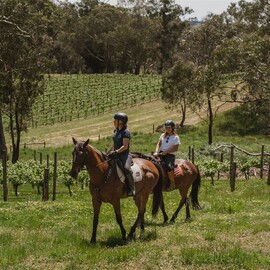 Romantic Horseback Winery Ride Package