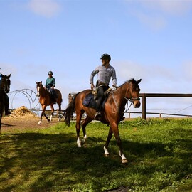 Horse Trail Ride and Tasting at Petaluma