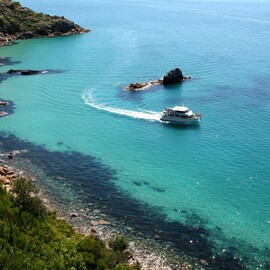 Cape Woolamai Scenic Cruise