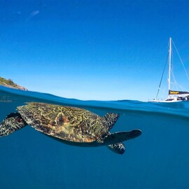 Whitsundays Private Sail